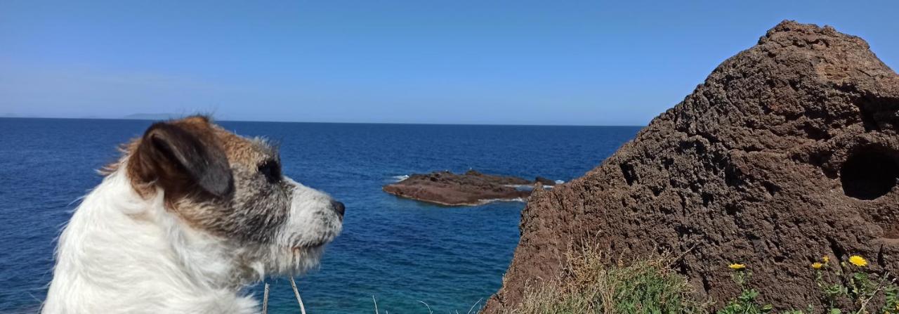 Apartament Gioiellino Sardo Castelsardo Zewnętrze zdjęcie